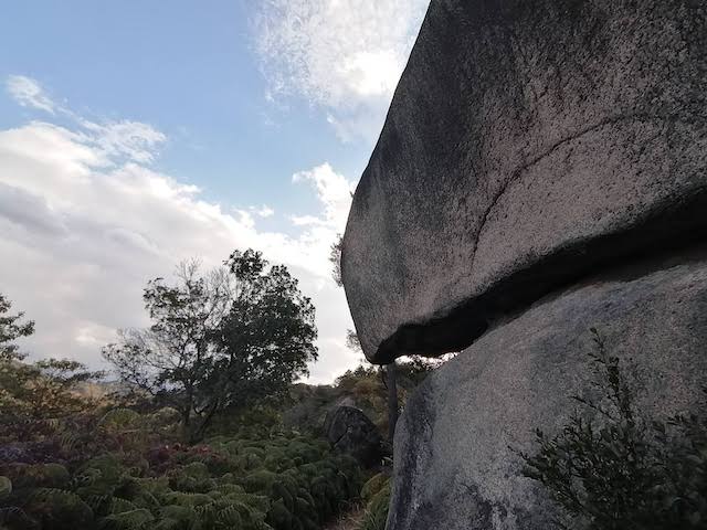 深山公園